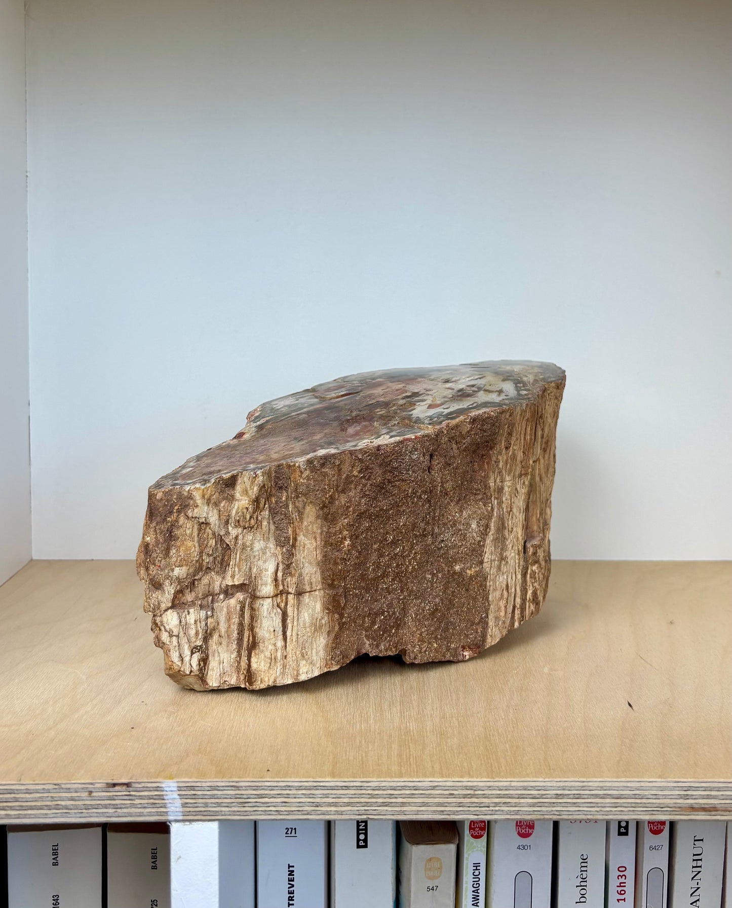 Bois pétrifié