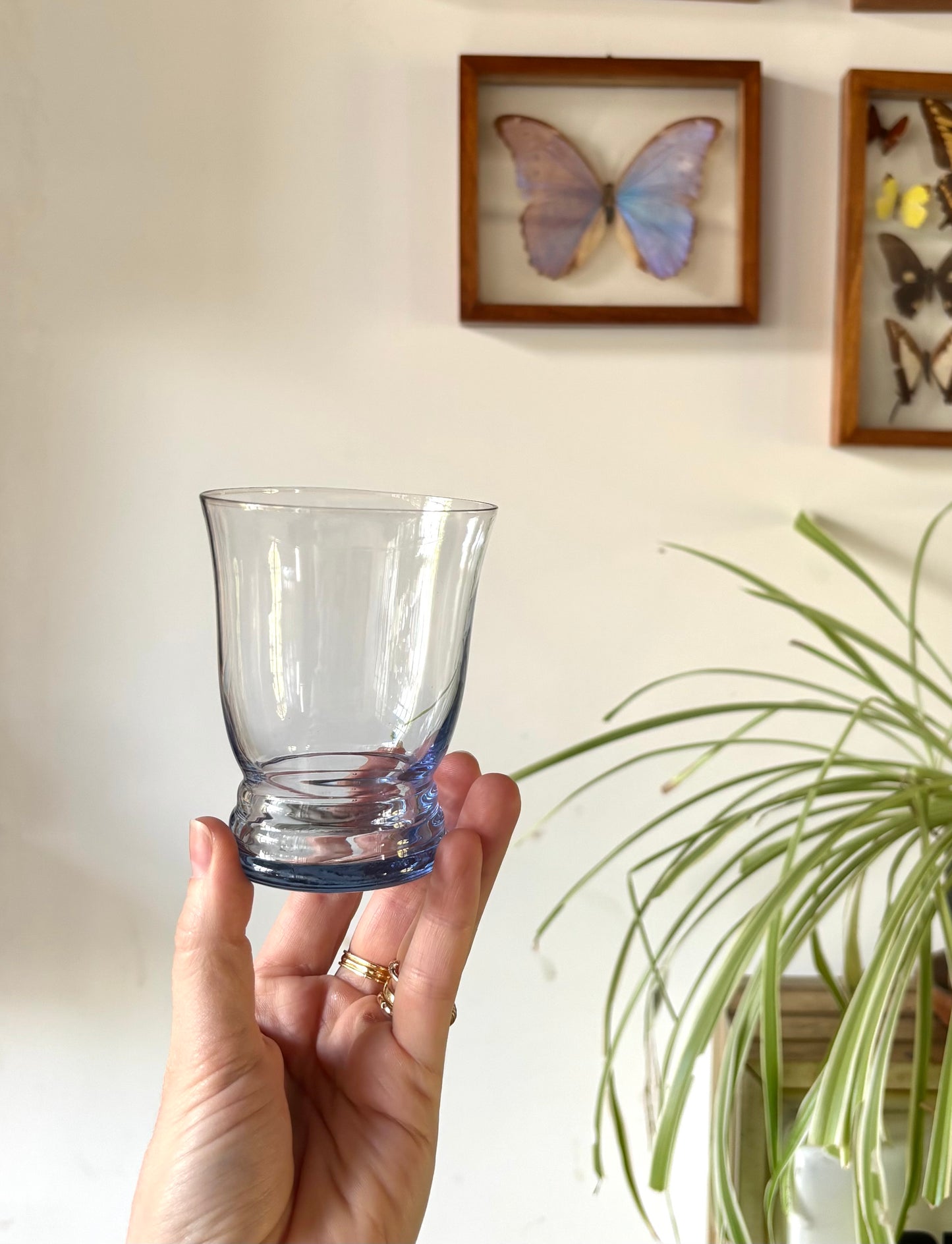 Dix-huit verres Eugénie