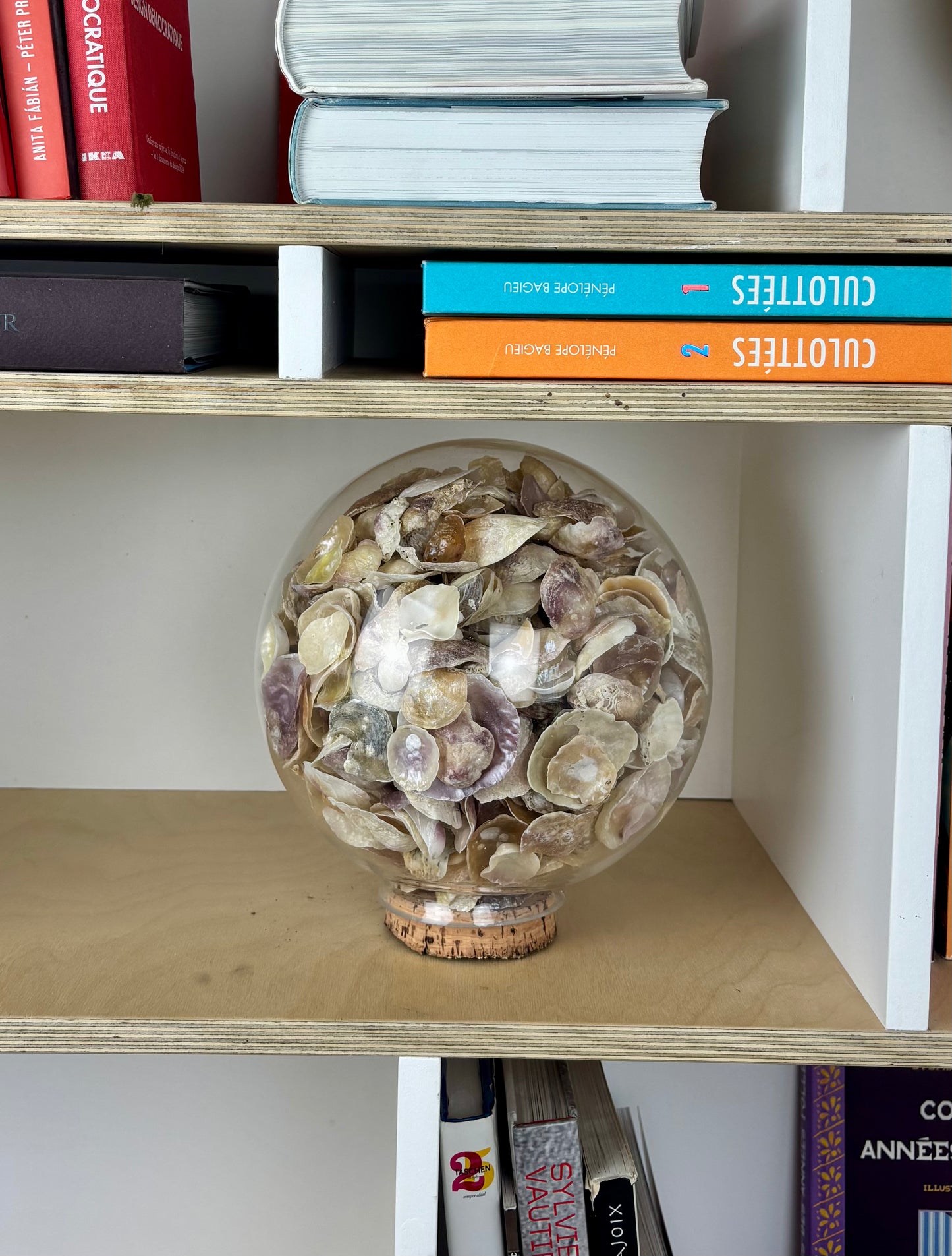 Globe coquillages PM