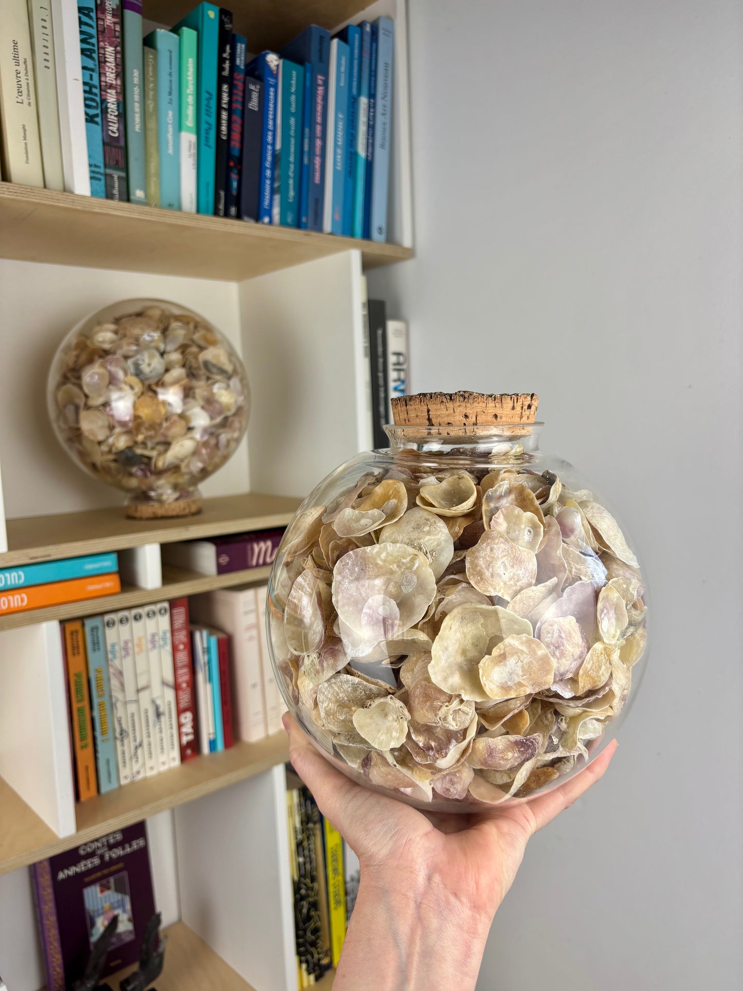 Globe coquillages PM