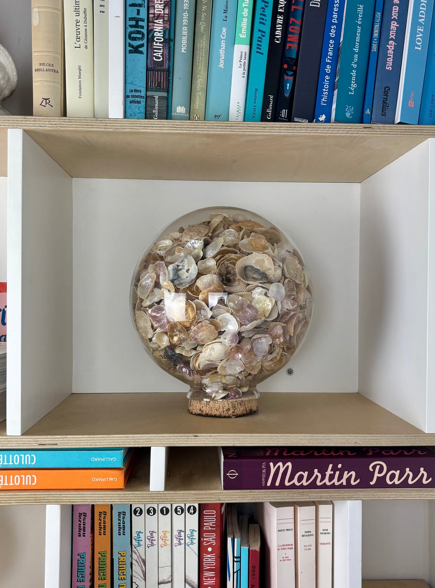 Globe coquillages GM