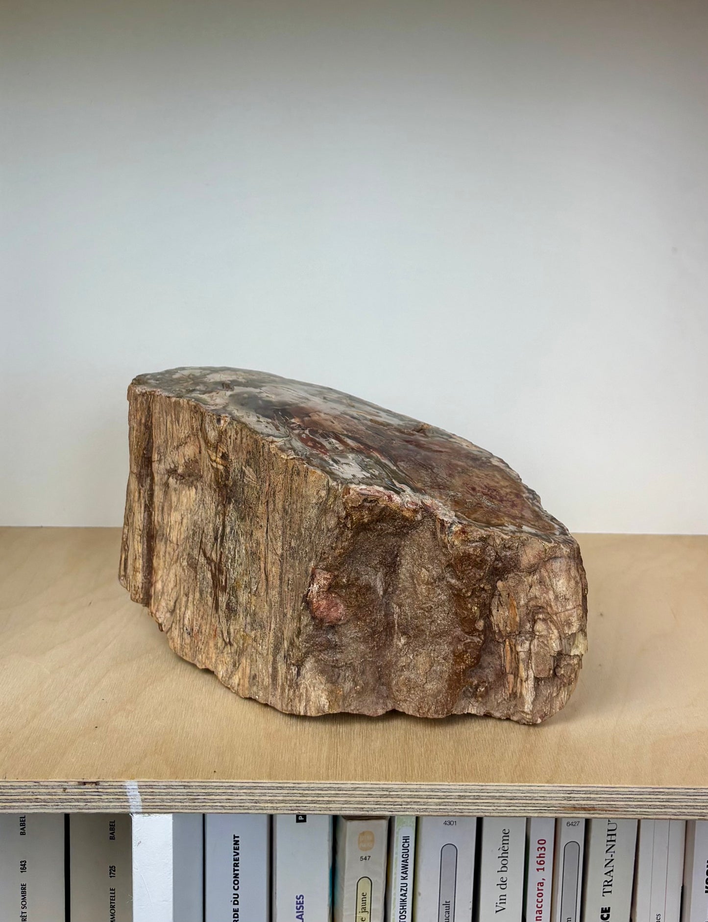 Bois pétrifié